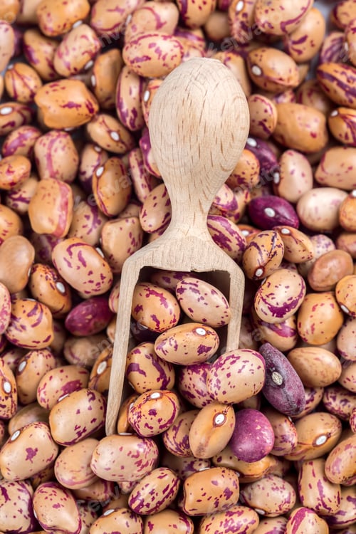 Preview: Legumes; dried roman beans. Dried pinto beans.