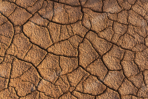 Preview: Cracked dry earth surface brown texture pattern
