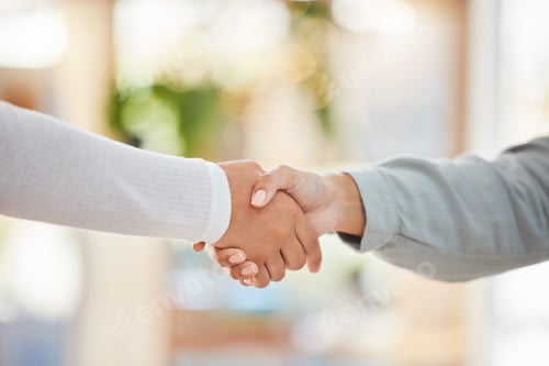 Preview: Business people shaking hands, meeting and consulting, networking and hiring agreement, partnership