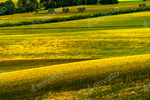 Preview: Rural landscape near Cingoli and Appignano, Marche, Italy