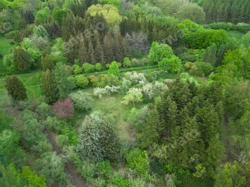 Preview: Aerial view of a garden with walkways different trees and green grass.