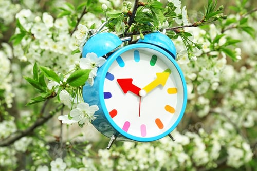Preview: Alarm clock hanging on blossoming tree branch, outdoors. Time change concept