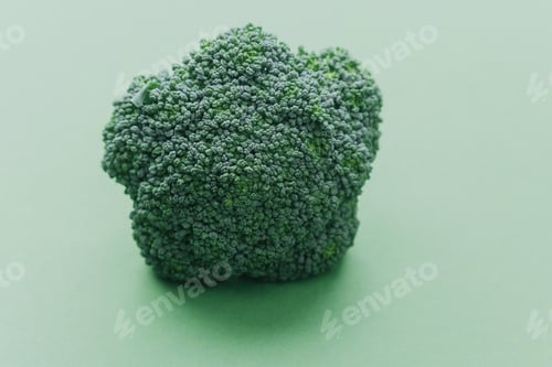 Preview: Fresh broccoli head on green background minimal composition
