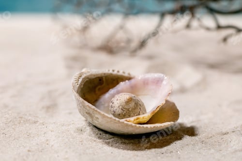 Preview: Summer sand sea beach with waves and seashell