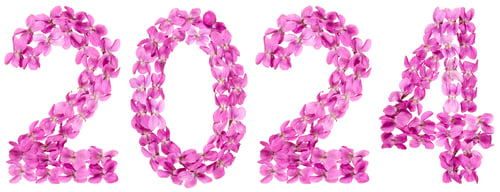 Preview: Numeral 2024 from flowers of viola, isolated on white background