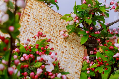 Preview: Judaism and religious on jewish matza on passover tallit