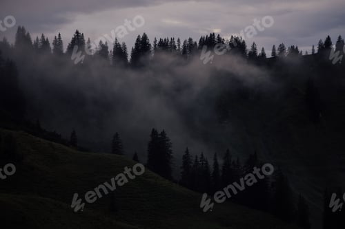 Preview: Aerial view of a beautiful forest near the mountains in Vorarlberg, Austria