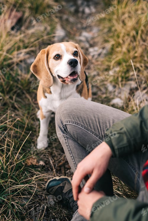 Preview: Man and his dog
