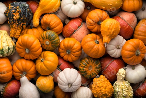 Preview: Pumpkins background