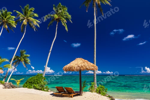 Preview: Two beach chair under umbrella with palm trees, Samoa