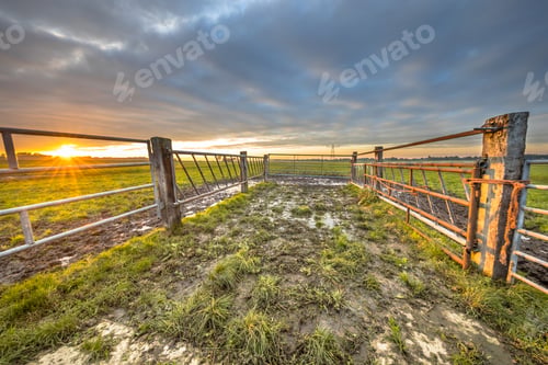 Preview: Sunset over gate in lowland meadow