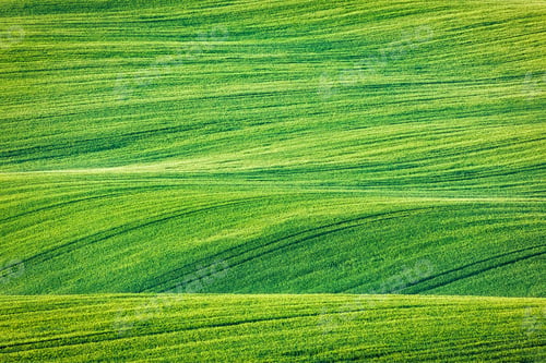 Preview: Abstract pattern texture of rolling fields