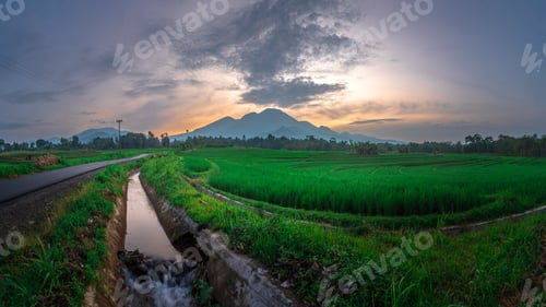 Preview: Beautiful morning view indonesia, Panorama Landscape paddy fields with beauty color and sky natural