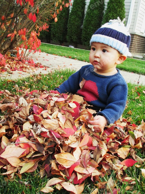 Preview: Child Playing in Colorful Autumn Leaves Outdoors