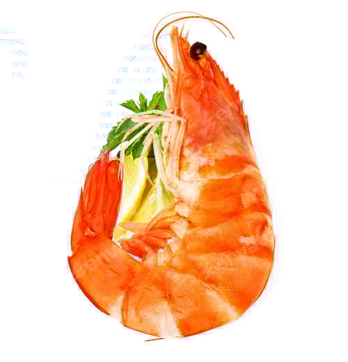 Preview: fresh shrimp with lemon and mint isolated