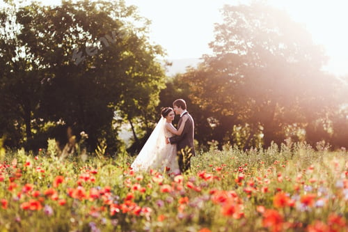 Preview: Newlyweds walking in amazing blossoming flowers field. Scope and panoramic views around