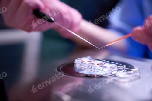 Preview: Doctor handling cell cultures during a delicate procedure