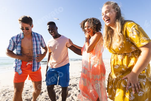 Preview: A diverse group of friends laugh together on a sunny beach