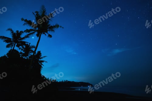 Preview: Scenic night sky with a lot of stars and palm tree