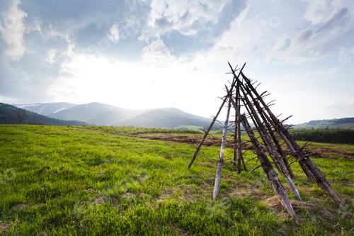 Preview: Green field with heaps of hay in village