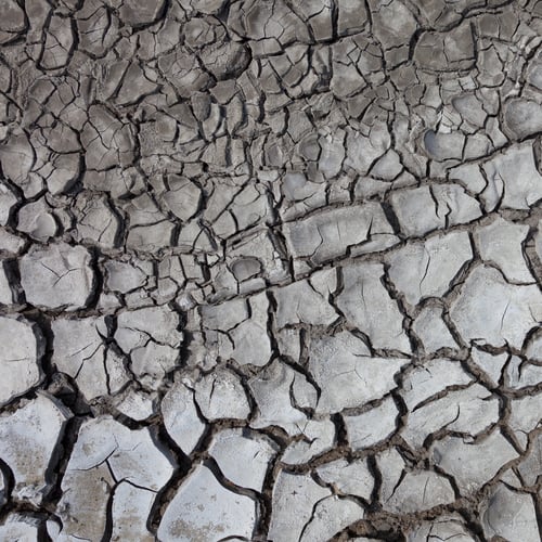 Preview: Dry cracked ground
