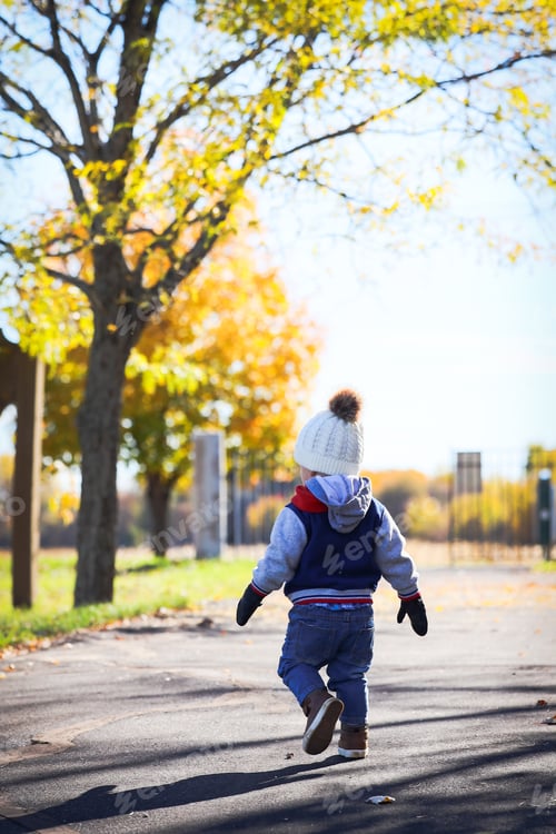 Preview: Back view of toddler wearing hat, jacket, jeans walking away on tree lined sidewalk in autumn.
