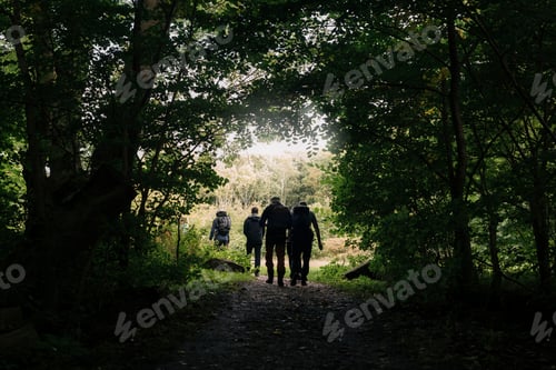 Preview: People hiking in forest