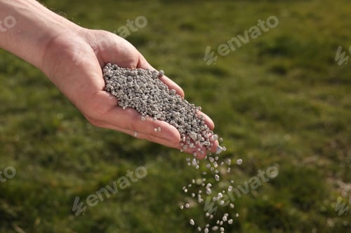 Preview: Man fertilizing green grass on sunny day, closeup