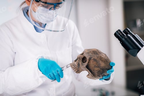 Preview: Ancient DNA Scientist Working in Bio Archaeology Lab
