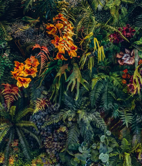 Preview: Close-up of a group of green leaves, providing a textured and abstract nature background.