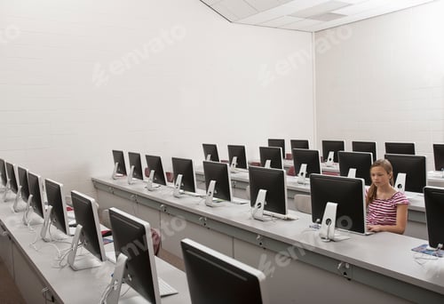Preview: A young person seated working at a computer terminal in a school room.