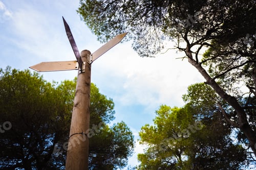 Preview: Hikers use the posts with signs marked with colors to guide the trails.
