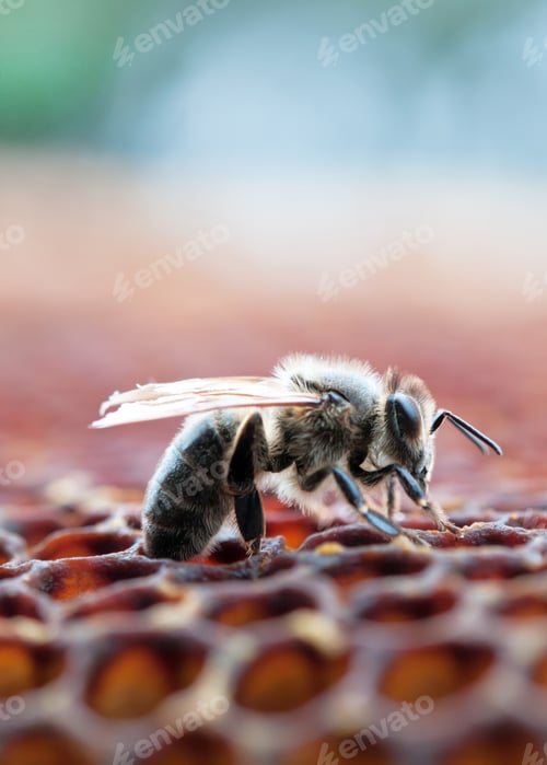 Preview: working bee