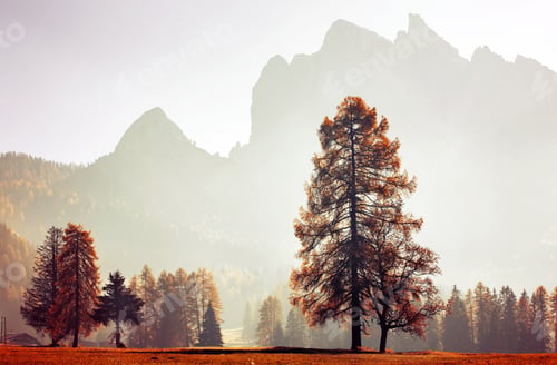 Preview: Sunny autumn day in Dolomite mountains.