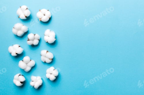 Preview: Autumn Floral Flat lay background composition. Dried white fluffy cotton flower branch