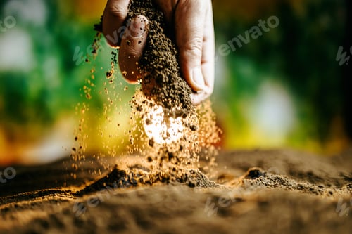 Preview: Black soil in man hands Organic gardening, agriculture. Nature close up