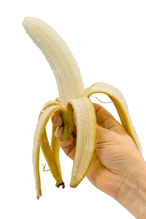 Preview: Female hand holds a banana, isolated on white background
