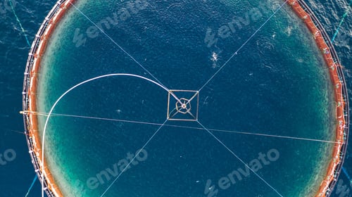 Preview: Environmental conservation. Aerial view of round mesh for growing and catching fish in arctic water