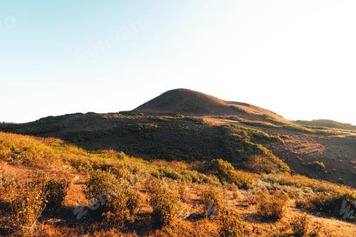 Preview: mountains in summer morning and spring flowers