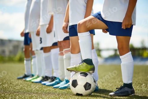 Youth Soccer Team Standing in a Line