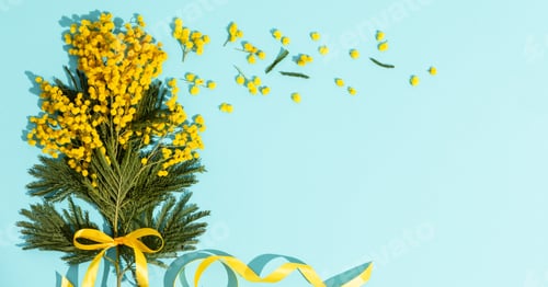 Preview: Spring mimosa branches with a yellow ribbon flat lay on blue background