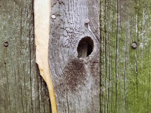 Preview: Grunge Wood Texture And Background