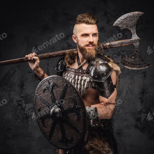 Preview: Bearded Viking warrior dressed in fur and light armor