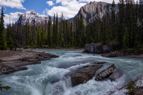 Preview: River flowing in the canyon surrounded by the Canadian Rockies