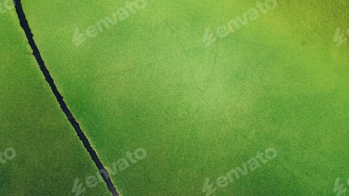 Preview: Aerial view of a lake water covered with plants and boat paths