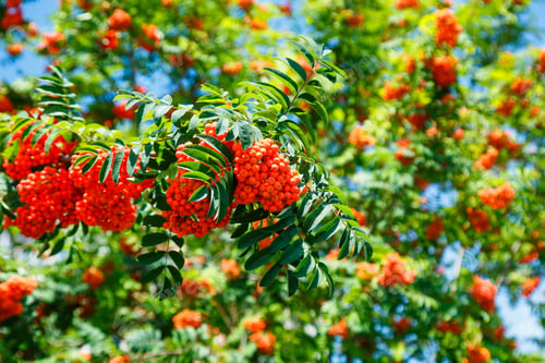 Preview: Beautiful nature on a bright sunny day