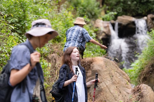 Preview: Group of friend on a sunny day in the forest Young group hiker with backpack and trekking poles
