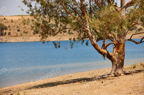 Preview: Extremadura landscape with Guadiana river. Dryness in Spain