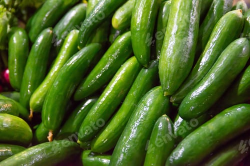 Preview: Pile of clean and fresh green cucumbers in the market