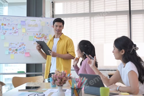 Preview: Startup business people are discussing ideas for a new project at comfortable light office.